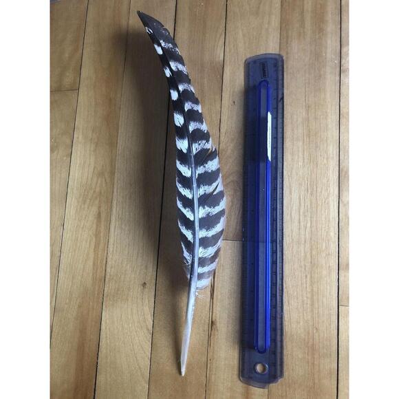 WILD TURKEY FEATHER Real Foraged Massachusetts 9 - 12 inch Set of three feathers - Picture 3 of 5